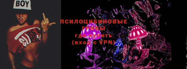 кокаин премиум Заводоуковск