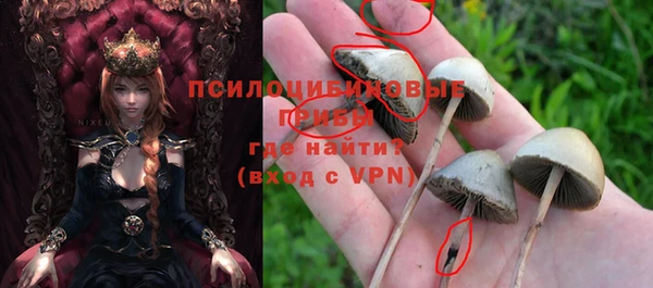 гидра Заволжск