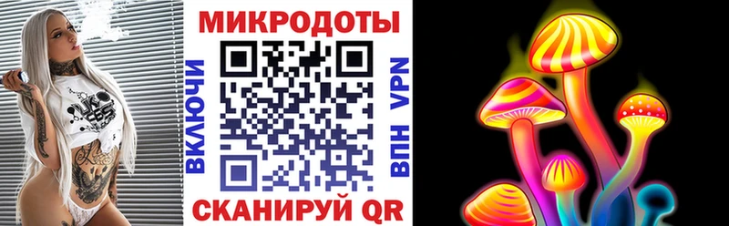 Купить закладки  Кола  Псилоцибиновые грибы прущие грибы 